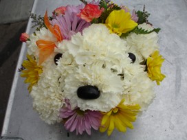 Floral dog head arrangement